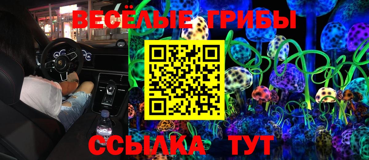 Псилоцибиновые грибы мицелий  Псилоцибиновые грибы Magic Shrooms  купить наркоту  Вход с VPN  Кинель 